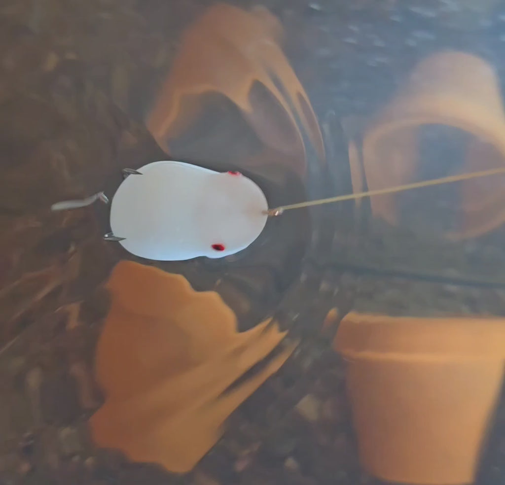 Xplurtak Top Water Daredevil Toads™ 3-Pack